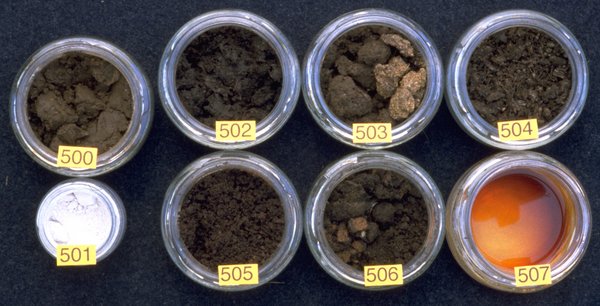 The two Field Spray Preparations: 500: Horn Dung, 501: Horn Silica. The six Compost Preparations: 502: Yarrow, 503: Chamomile, 504: Nettle, 505: Oak Bark, 506: Dandelion, 507: Valerian. The two Field Spray Preparations: 500: Horn Dung, 501: Horn Silica. The six Compost Preparations: 502: Yarrow, 503: Chamomile, 504: Nettle, 505: Oak Bark, 506: Dandelion, 507: Valerian.